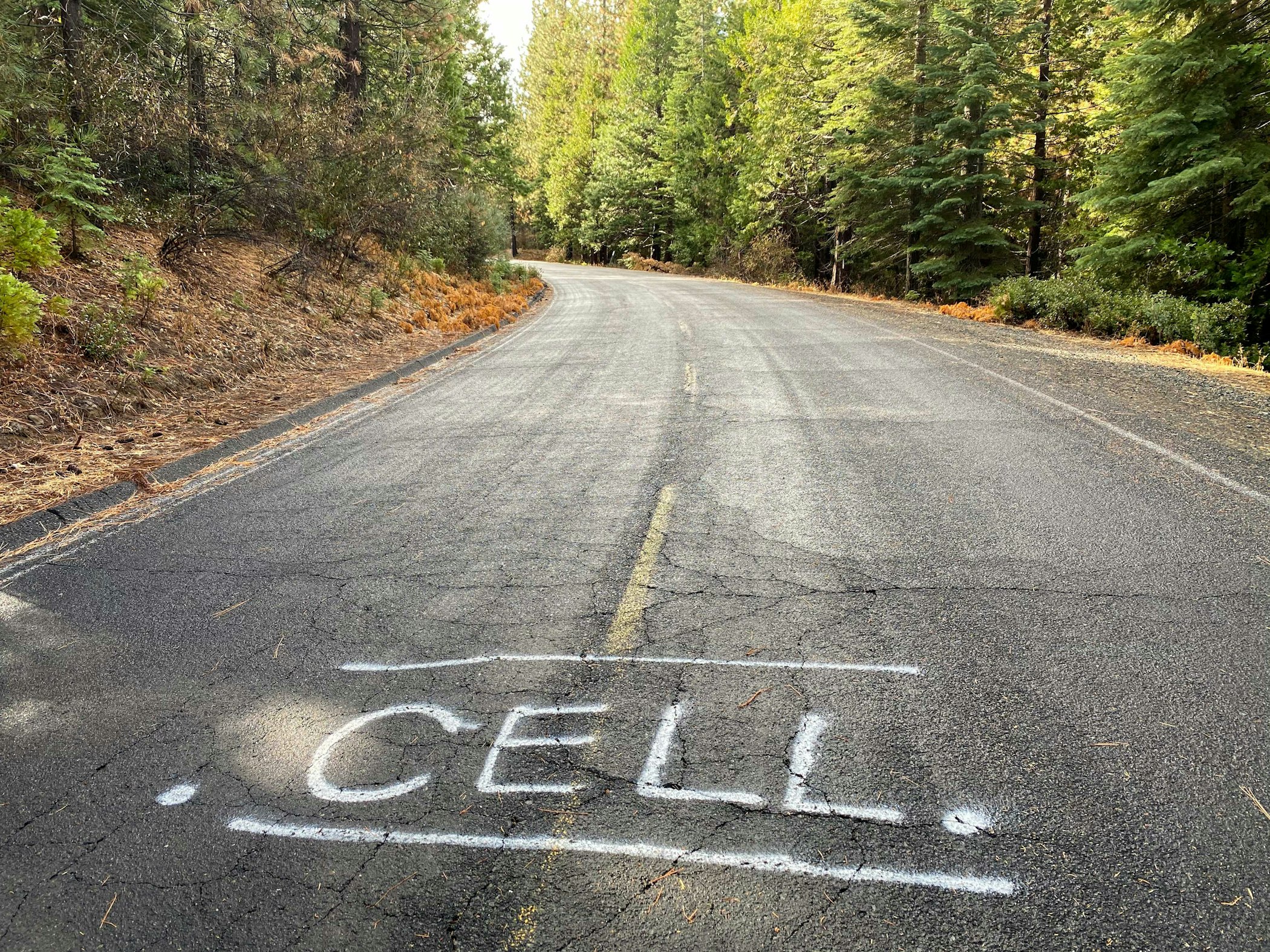 Carle November 2020 Cell