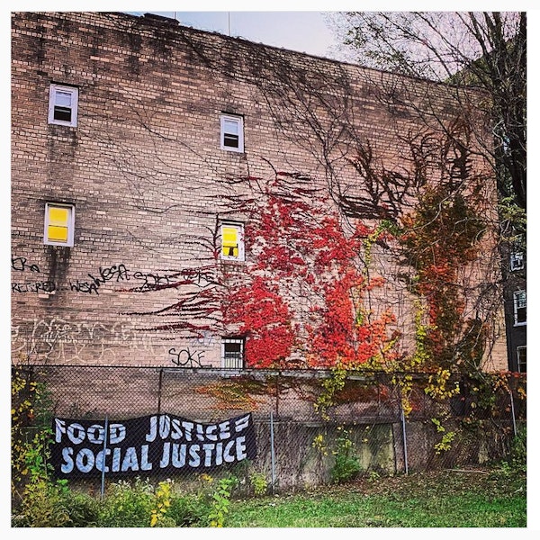 Suggestion Resistance Is Fertile 0 1