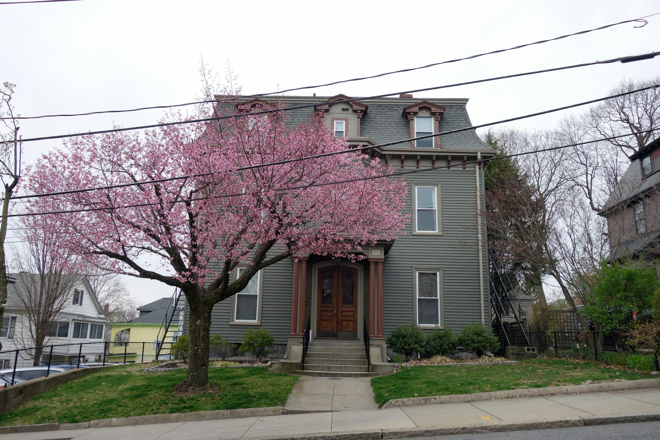 Wiig Somerville Spring 2020