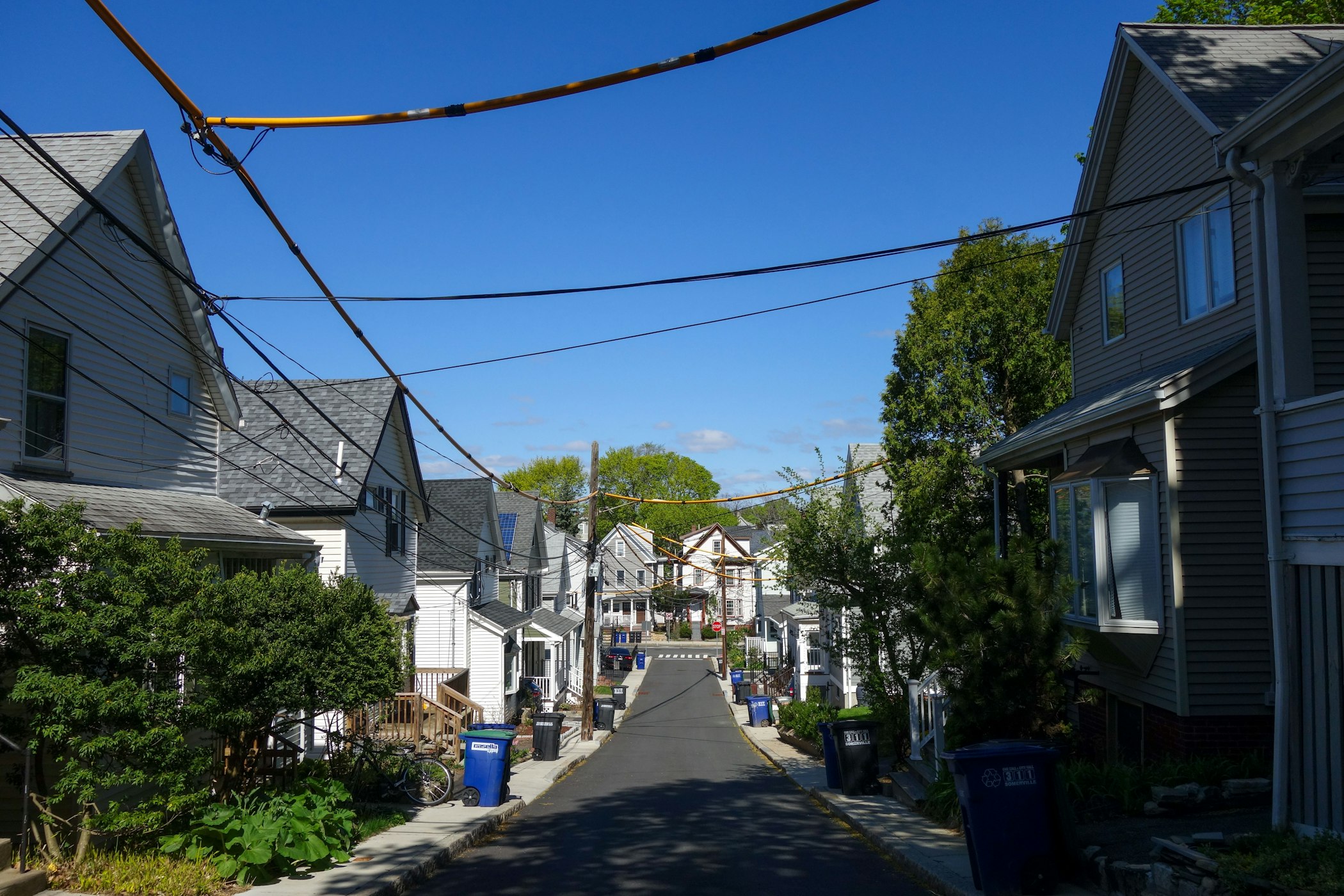 Wiig Somerville Summer 2020 2